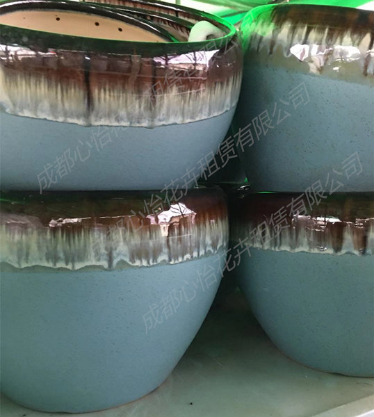 成都綠植租擺套盆