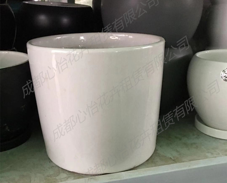 成都綠植租賃套盆