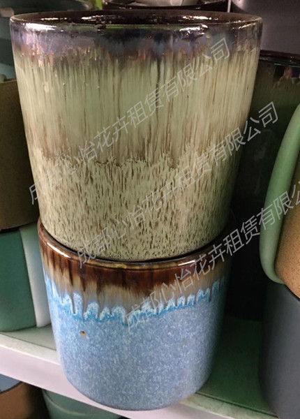 成都花卉租擺套盆